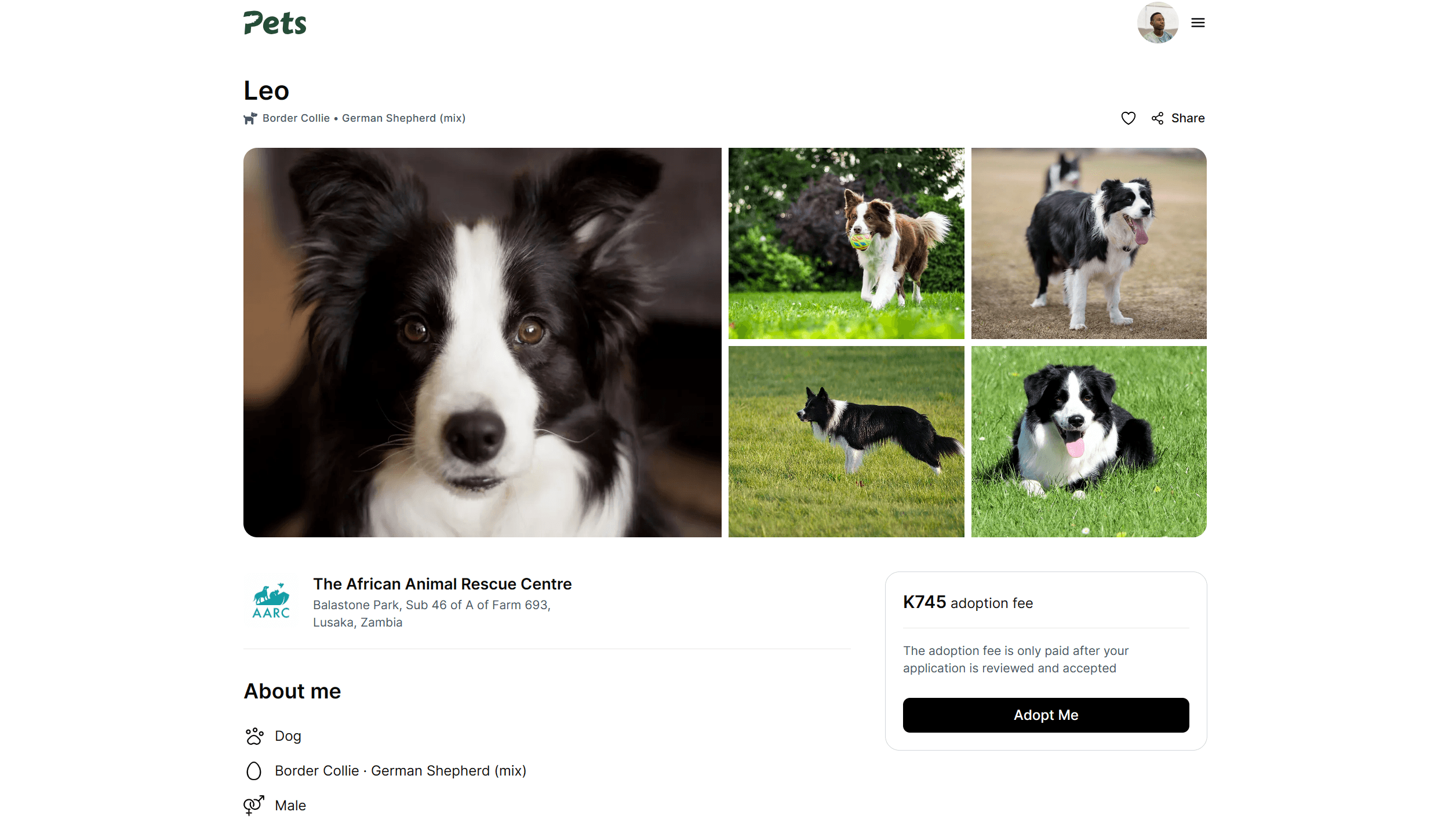 Image of the initial project planning for the pet adoption app